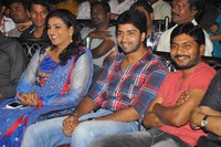 Nuvva Nena Audio Launch